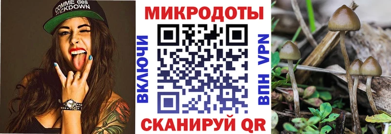 магазин продажи наркотиков  Отрадный  Галлюциногенные грибы Cubensis 